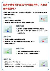 FastPrep?系統(tǒng)中的關(guān)鍵組成之一--裂解細胞用的研磨粉