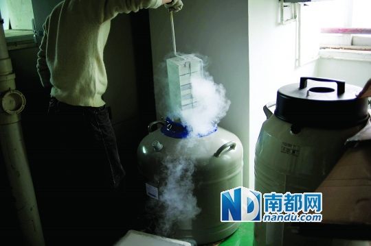 <p>    市二醫(yī)院，從患者血液中分離出的免疫細(xì)胞被存儲在液氮罐里。</p>